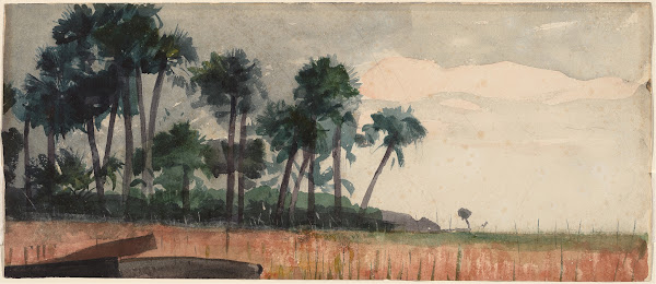 Palm Trees Red 1890