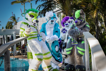 furdu-03913.jpg