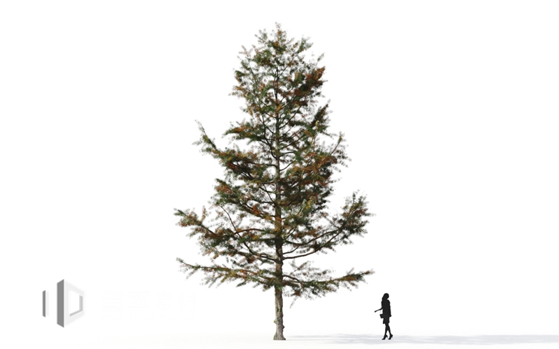 Maxtree - Plant Models Vol.9