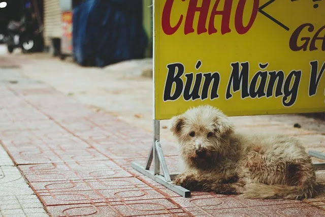 요즘 소비가 줄어도 체감 물가가 내려가지 않는 이유