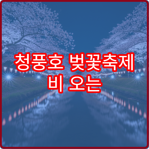 청풍호 벚꽃축제 비 오는 날 대체 청풍문화재단지 카페 추천