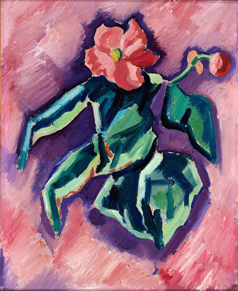 Pink Begonias 1928 1929