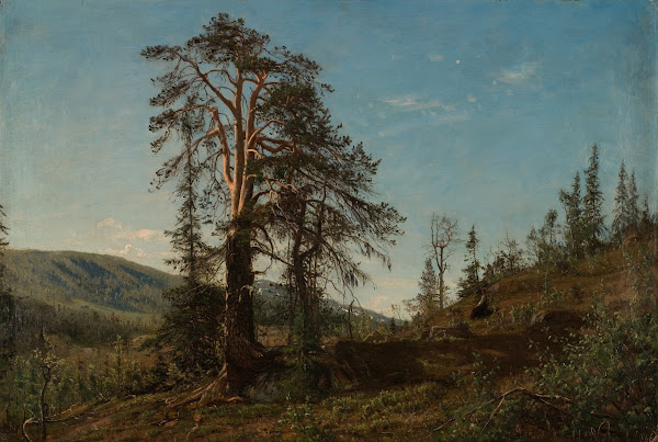 I Vingeråsheia Telemark 1866