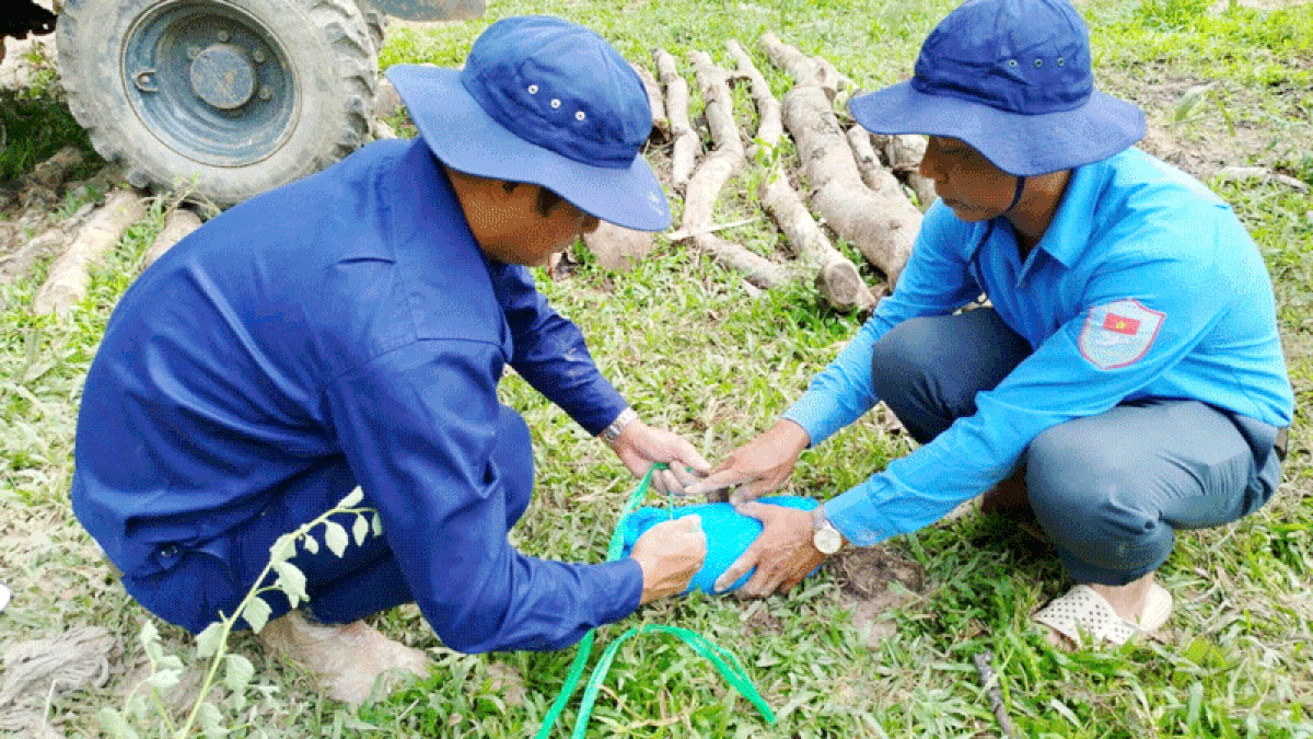 An Giang triển khai Chiến dịch 500 ngày đêm tìm kiếm, quy tập và xác định danh tính hài cốt liệt sĩ - Báo Nhân Dân