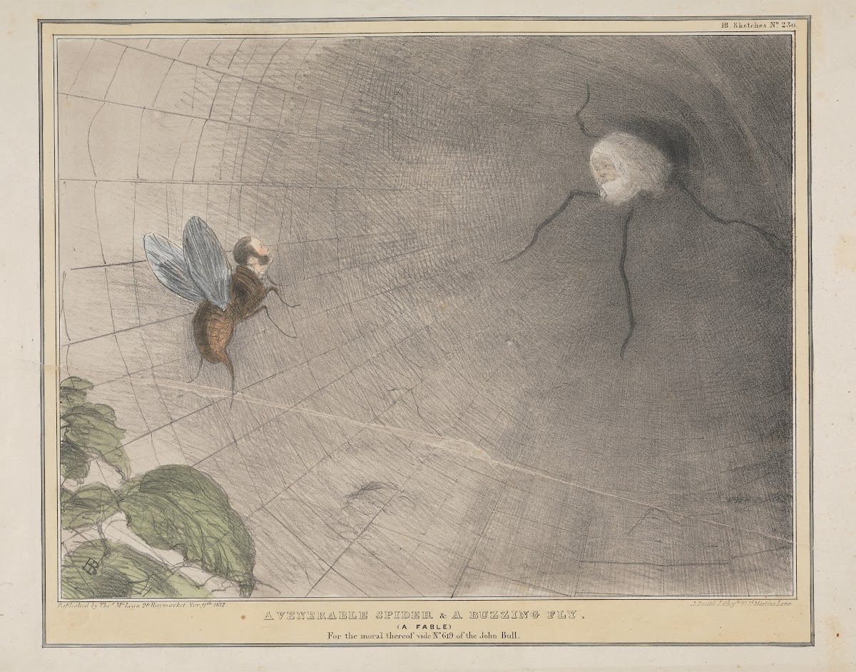 A Venerable Spider and A Buzzing Fly 1832