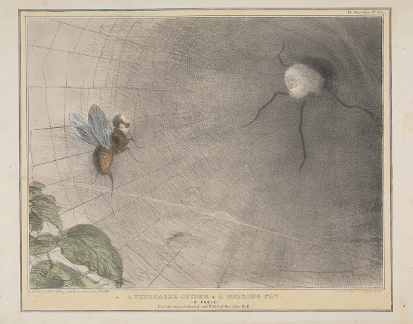 A Venerable Spider and A Buzzing Fly 1832