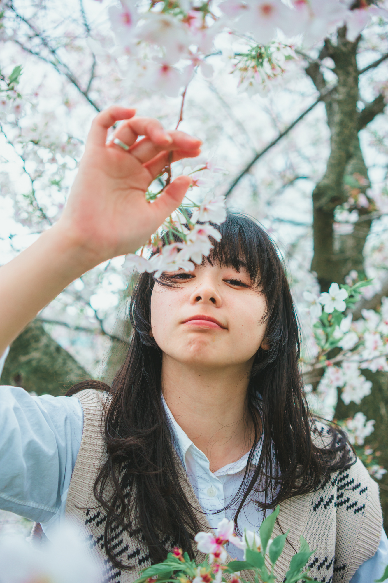 Portrait — Makino Shota