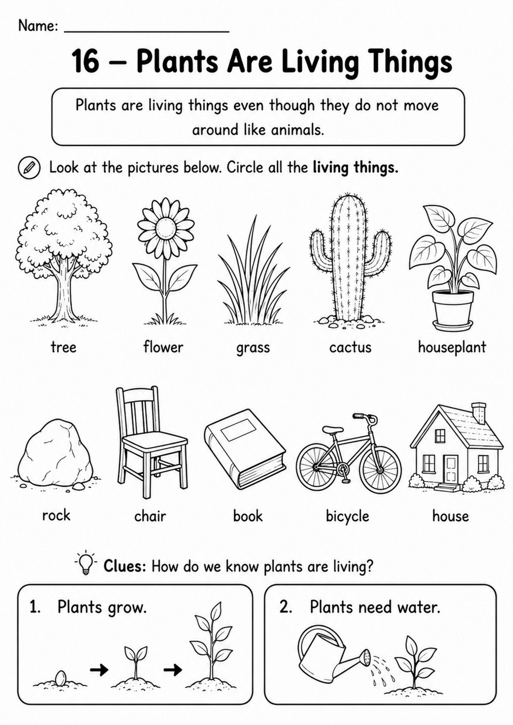 Plants Are Living Things