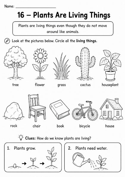Plants Are Living Things