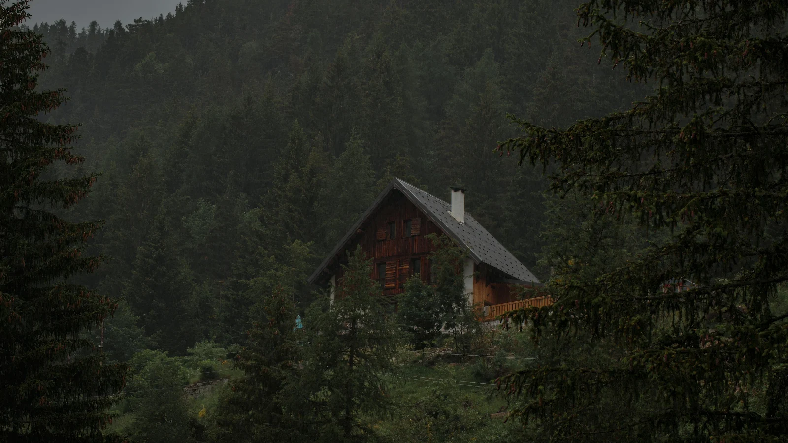 Wooden Cabin In Moody Forest - Nature Photography 4K Wallpaper (4627x2603)