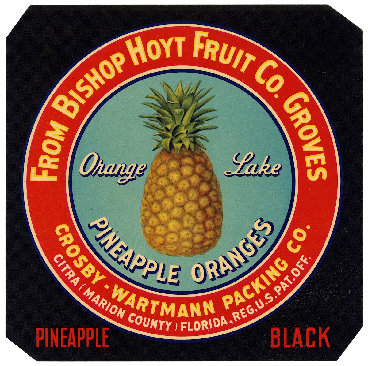 Label for Orange Lake Pineapple Oranges  Black 1930 1950