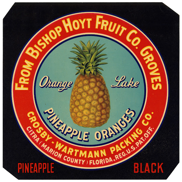 Label for Orange Lake Pineapple Oranges  Black 1930 1950