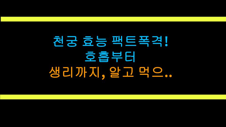 천궁 효능 팩트폭격! 호흡부터 생리까지, 알고 먹으면 효과 200%