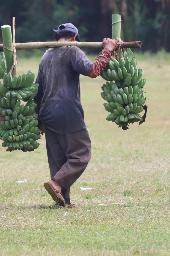 온라인 판매자의 부가세 신고