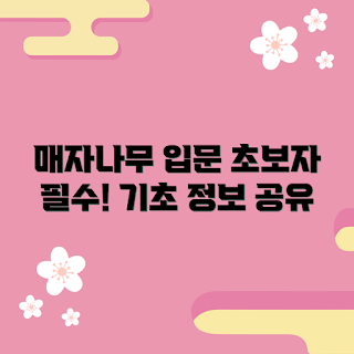 매자나무, 매자나무 기초 정보, 초보자 가이드, 2023 매자나무 트렌드, 식물 초보자 추천