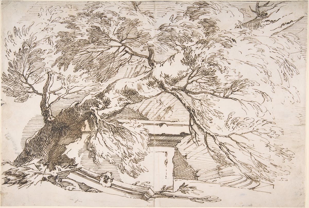 A Fallen Tree with Ruins 17001762
