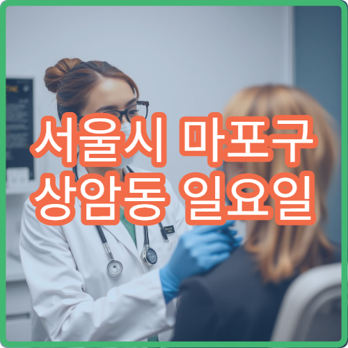 서울시 마포구 상암동 일요일 소아청소년과 아이 복통 진료