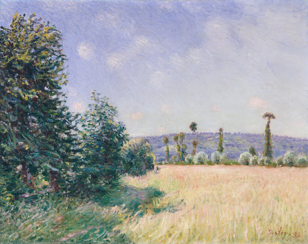 Sahurs Meadows in Morning Sun 1894