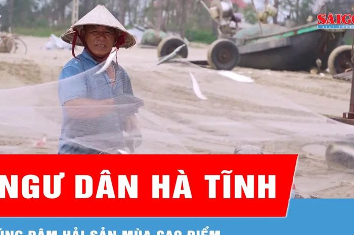 Ngư dân Hà Tĩnh trúng đậm hải sản mùa cao điểm - Báo Sài Gòn Giải Phóng