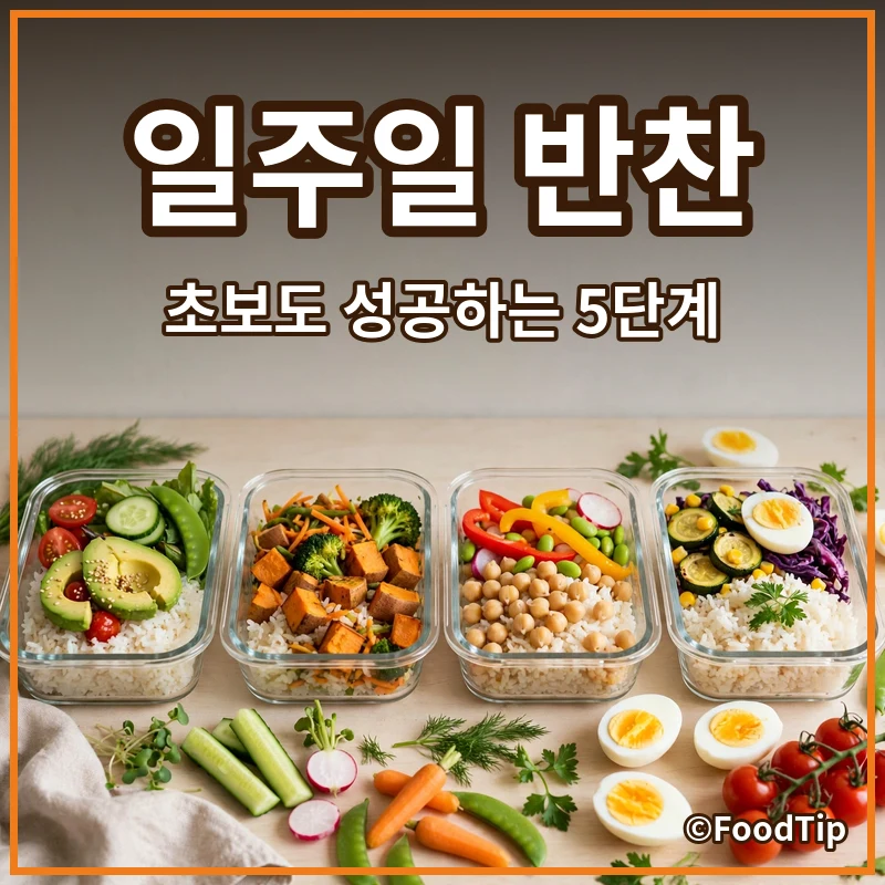 만원으로 일주일 반찬 만들기? 초보도 성공하는 냉파 요리 5단계 가이드