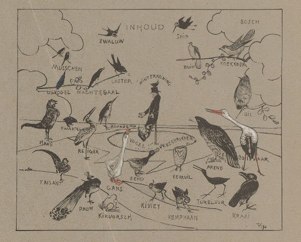Verschillende vogelsoorten 1892