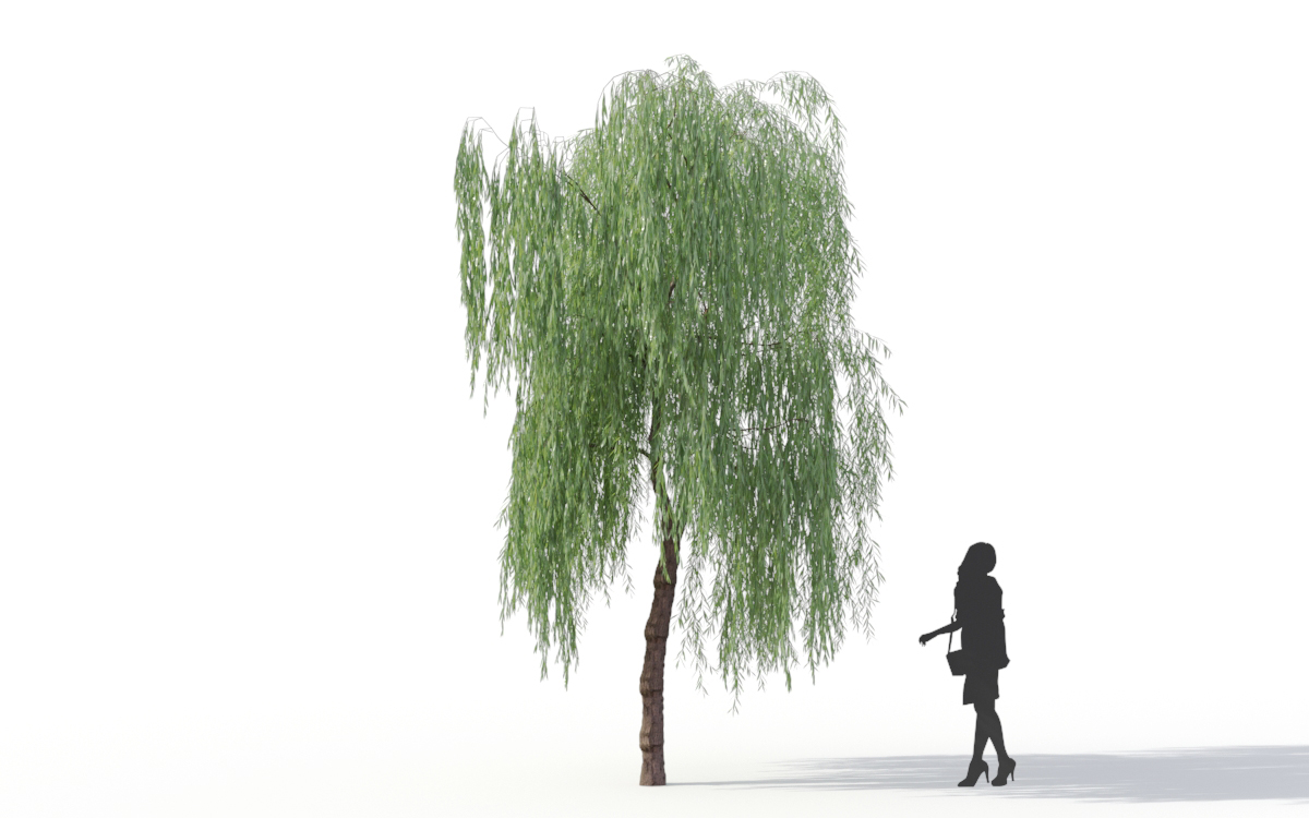 Maxtree - Plant Models Vol.11