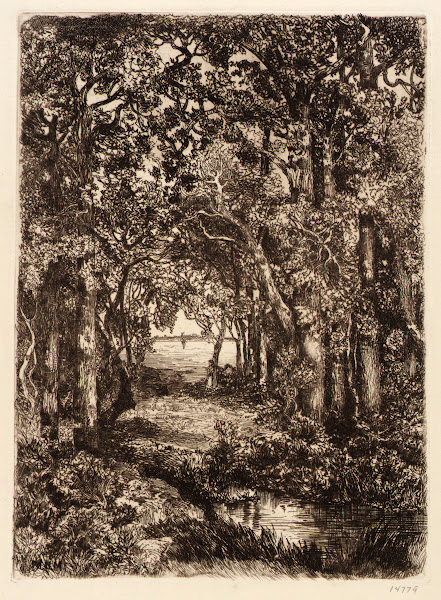 The Sea through the Woods ca 1880 1890