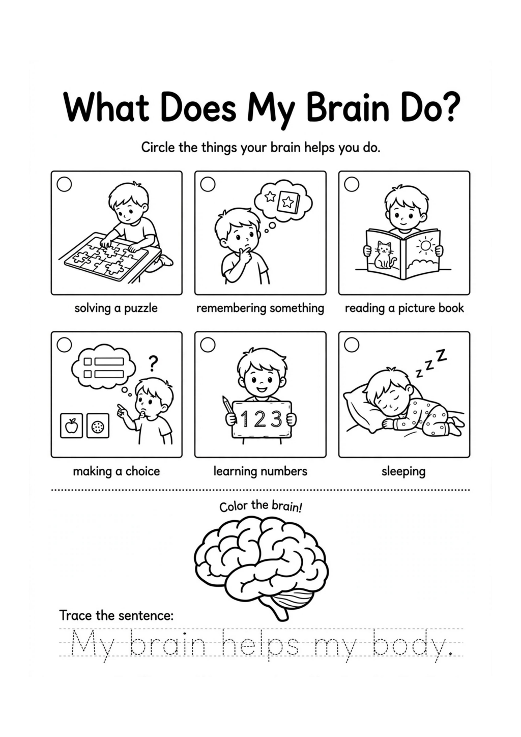 What Does My Brain Do?