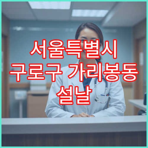 서울특별시 구로구 가리봉동 설날 명절 연휴 당번약국 심야 운영 감기약·해열제 판매 약국 안내