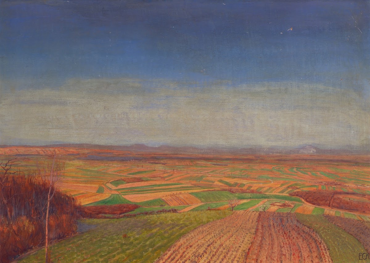 Marchfeld Vom Bisamberg 1910
