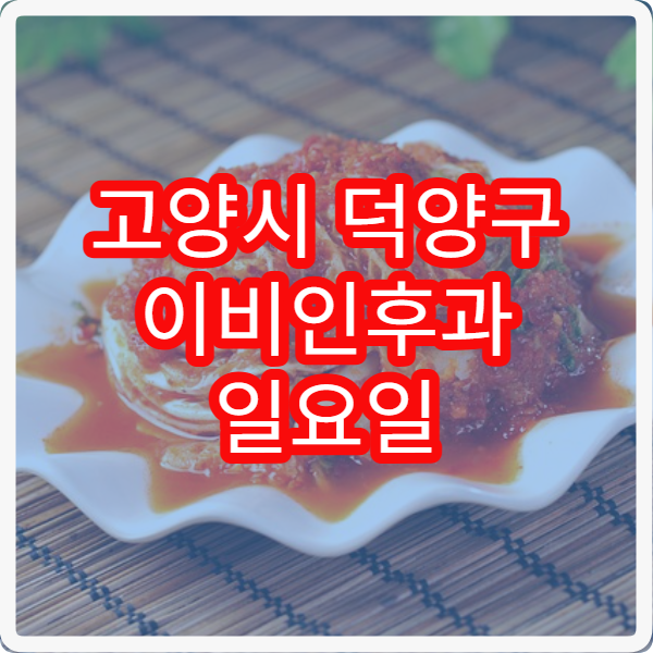 고양시 덕양구 이비인후과 일요일 진료 병원 감기 비염 주말 진료 가능한 곳