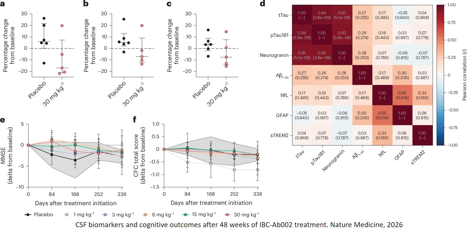 Immune therapy for Alzheimer's?
