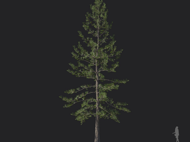 Maxtree - Plant Models Vol.121