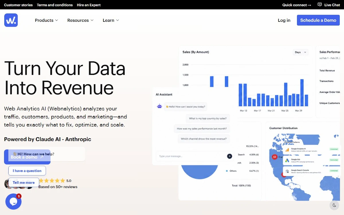 Captura de WebAnalytics AI