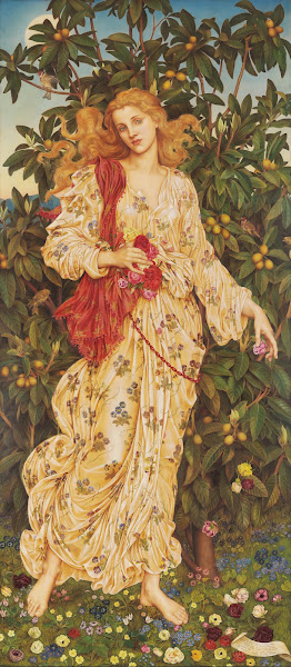 Flora 1894