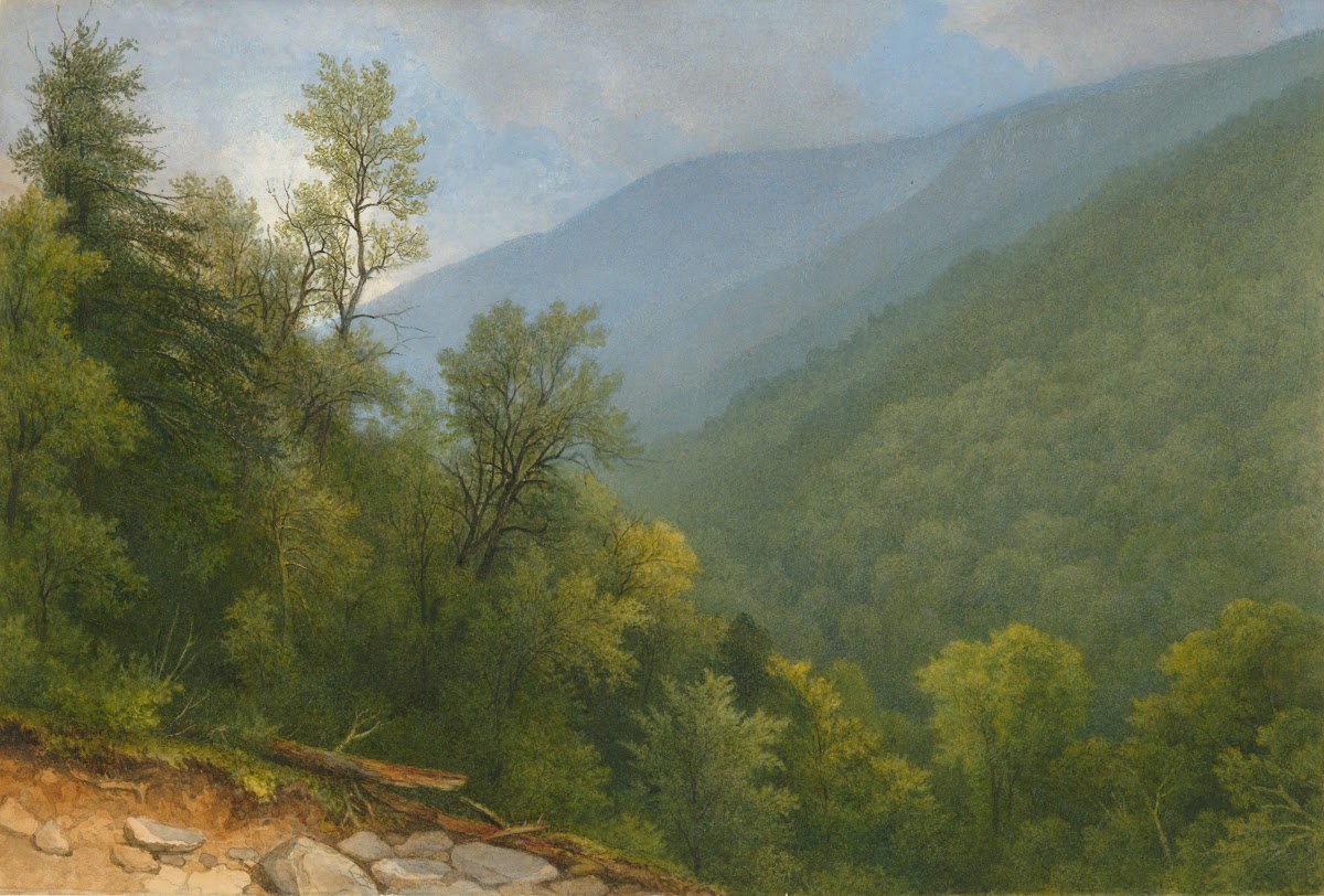 View Down theValley 19thcentury