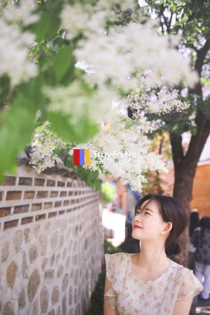 Người Vợ Bị Lãng Quên