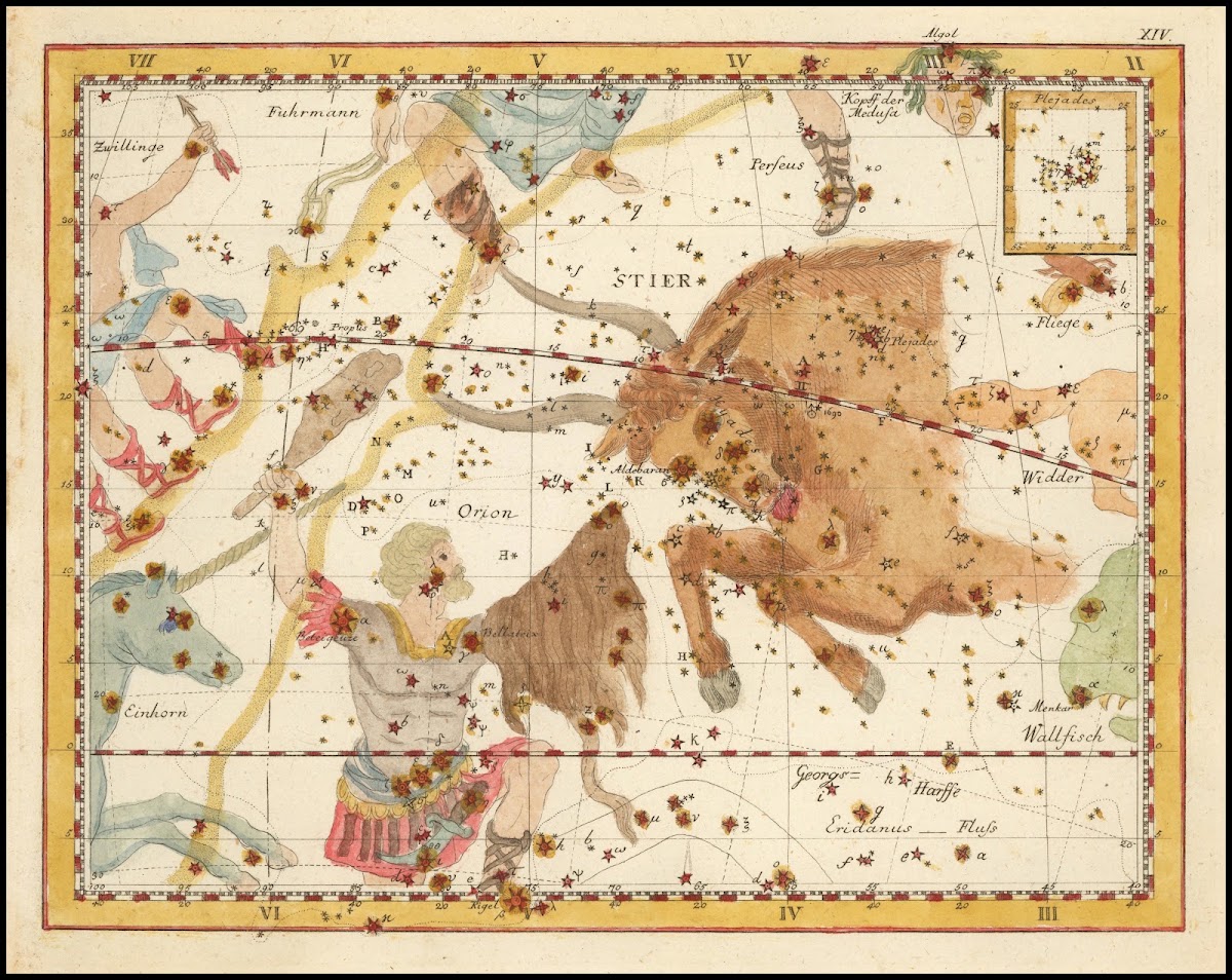 Stier 1805