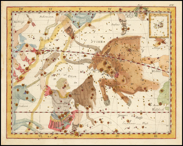 Stier 1805