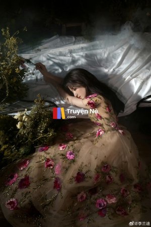 Cuộc Chiến Bất Ngờ Giữa Hai Thế Hệ
