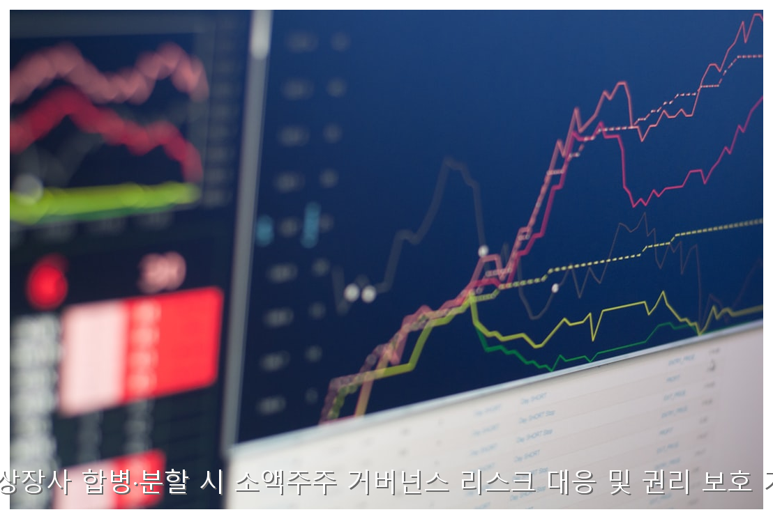 국내 상장사 합병·분할 시 소액주주 거버넌스 리스크 대응 및 권리 보호 가이드 핵심 안내 및 분석 인포그래픽 (5)