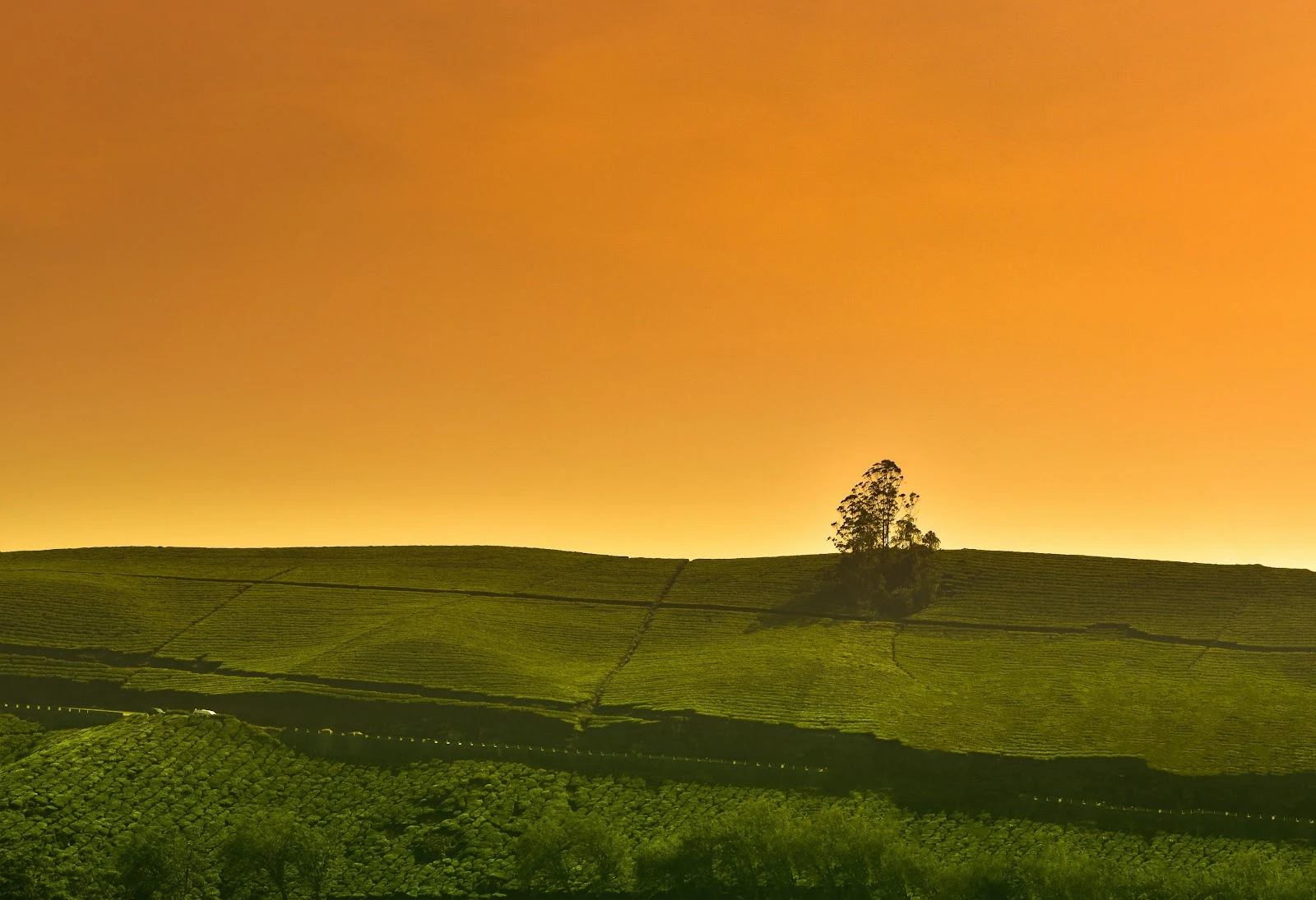 Green Hills Under Golden Sky - Landscape Photography 5K Wallpaper (5845x4000)