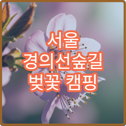서울 경의선숲길 벚꽃 캠핑 차박 디지털미디어시티 추천 스팟