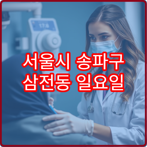 서울시 송파구 삼전동 일요일 한의원 진료 추나요법