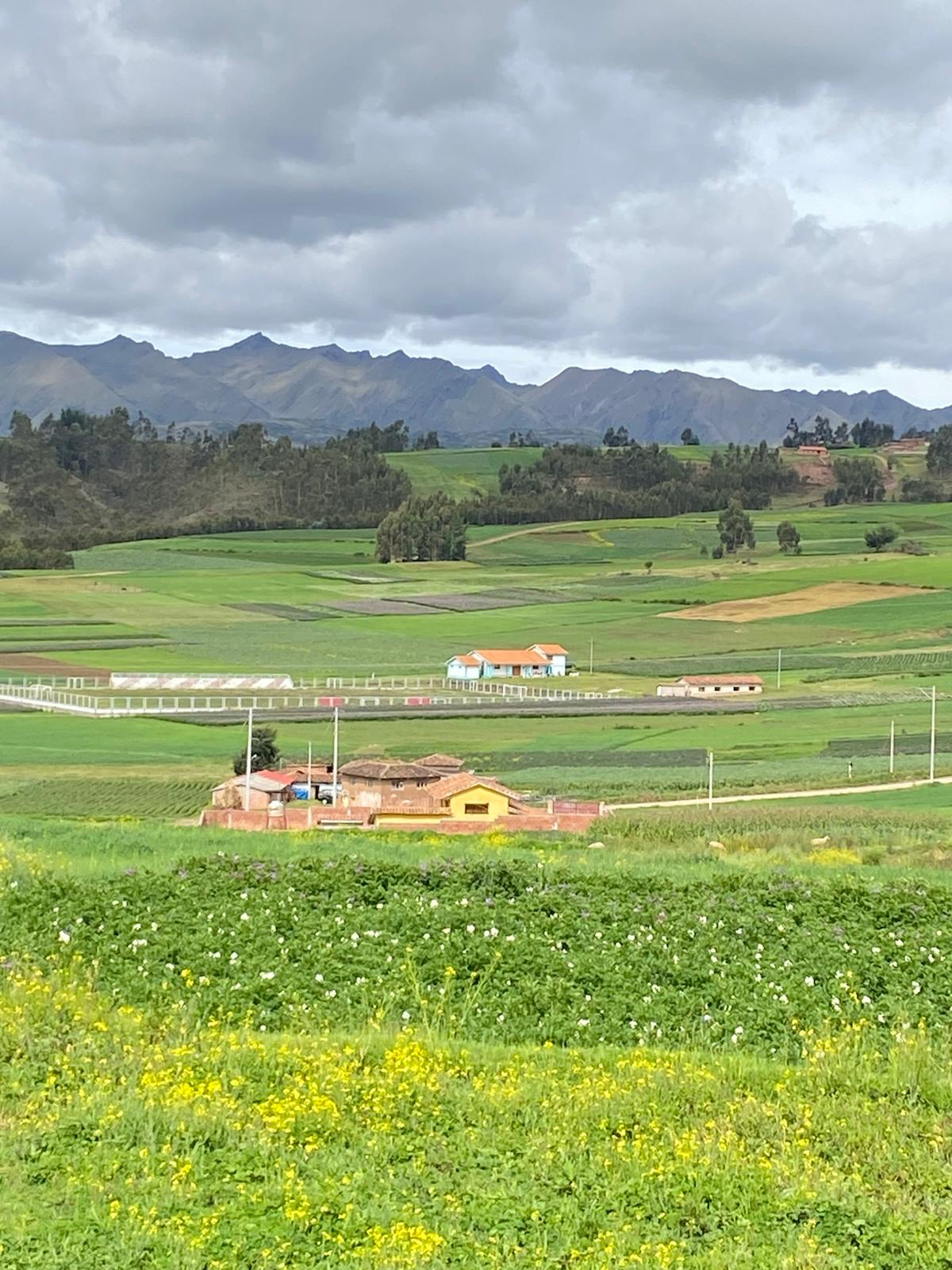 Imagen 4 de Terreno