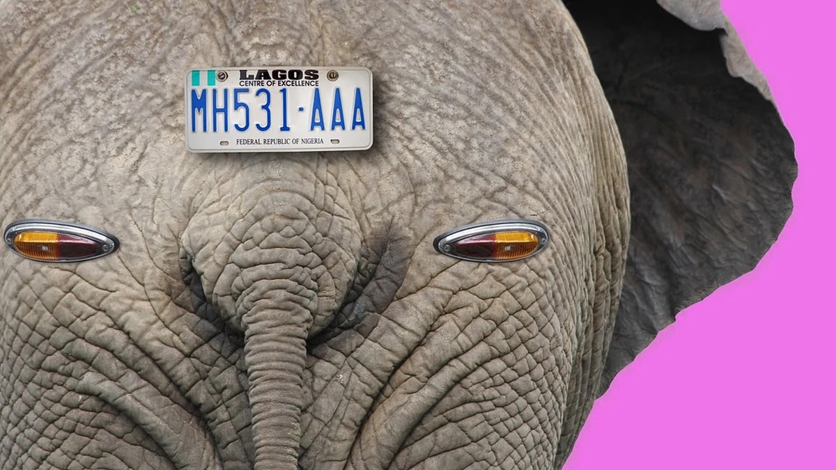 간헐적 단식 방법별 체중감량 효과와 적응 기간 비교