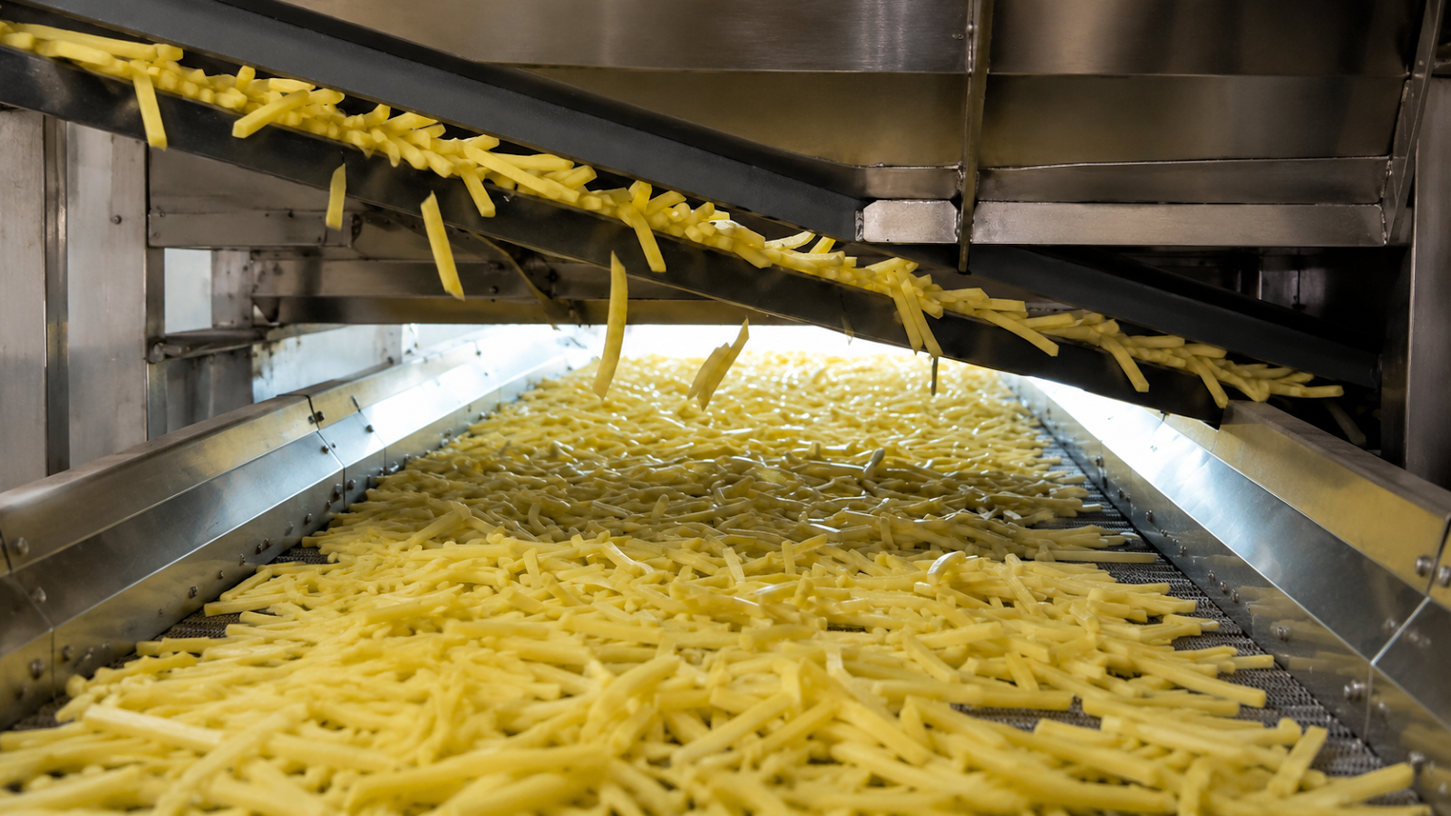 SANAM industrial french fries production line — 3 ton per hour capacity manufactured in Egypt
