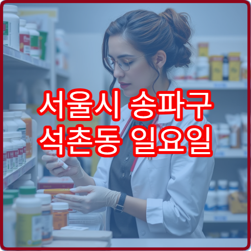 서울시 송파구 석촌동 일요일 당직약국 주말 늦지 않게 찾는 방법