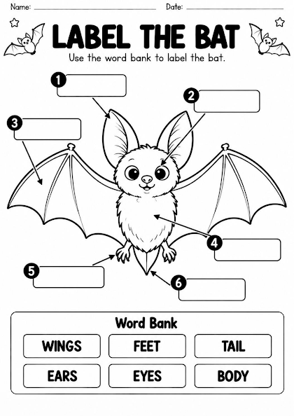 Label the Bat Worksheet