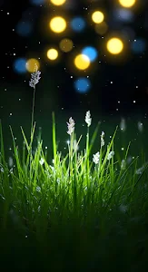 Magical Green Grass Field at Night with Glowing Bokeh Lights